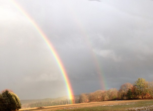 90472c01-4555-4414-9997-e9b024595b6a-3